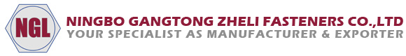 Ningbo Gangtong Zheli Fasteners: 25 ປີຂອງຄວາມເຂັ້ມແຂງໃນ fasteners ທີ່ມີຄວາມເຂັ້ມແຂງສູງສໍາລັບໂຄງການທົ່ວໂລກ