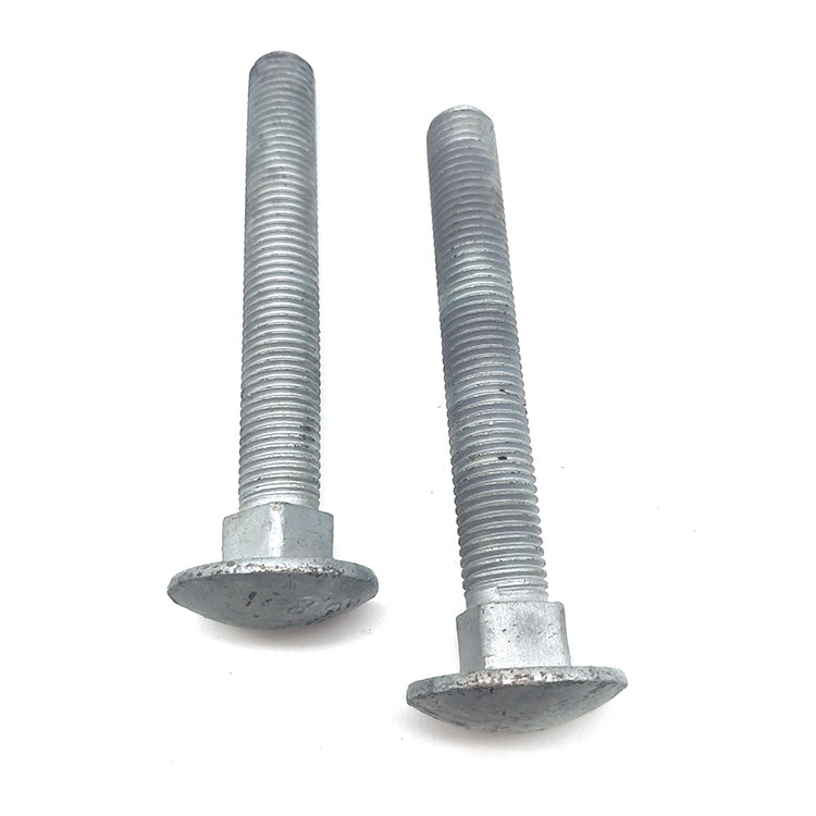 Carbon Steel Grade 4.8 5.8 6.8 M16 M20 HDG Carriage Bolt with Fine Pitch Thread for Power