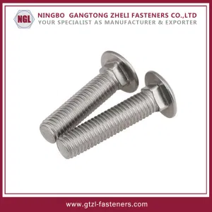 ສະແຕນເລດ DIN603 Full Thread Carriage Bolt