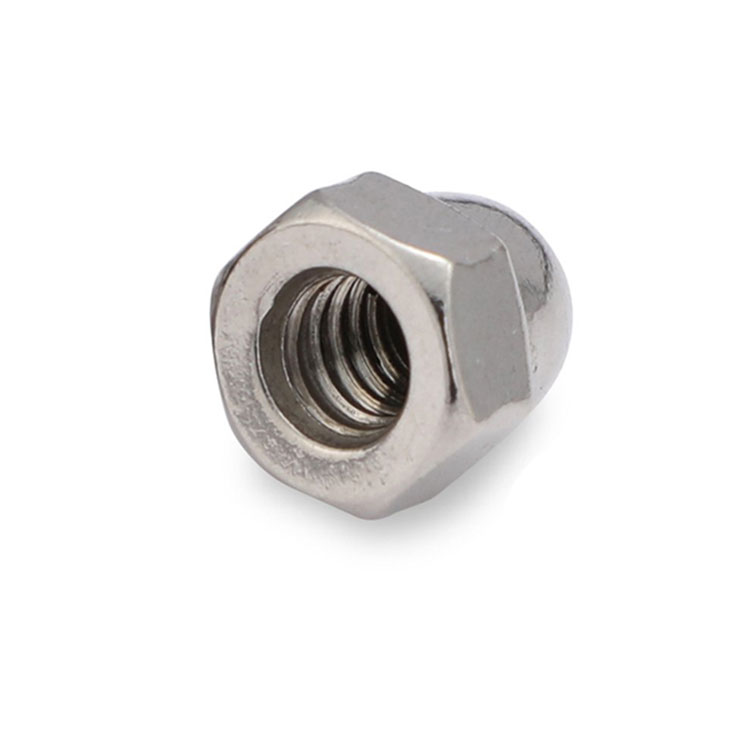 Worldwide Stainless Steel 304 316 Hex Head Dome Cap Nut