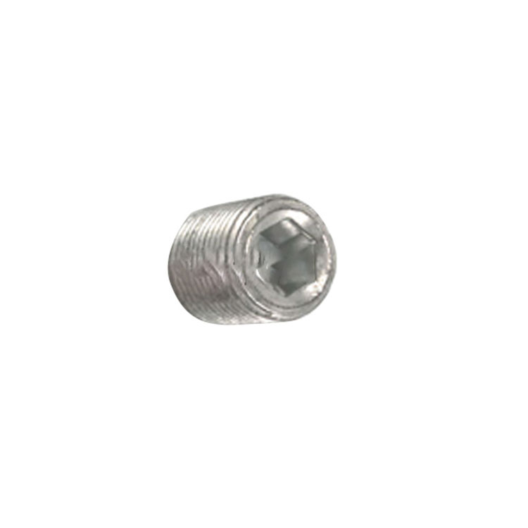 Galvanized Class 8.8 Hexagon socket recessed end screw set with knurled DIN914