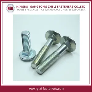 ສະແຕນເລດຫົວເຫັດ Carriage Bolt DIN603