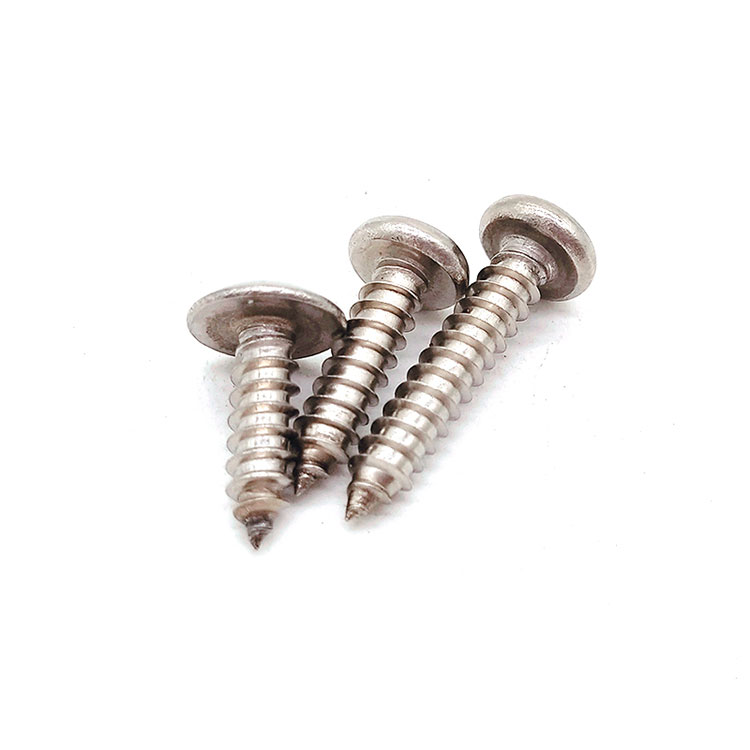 ສະແຕນເລດ SUS 201/304 Torx M2 Wood Self Tapping Screw